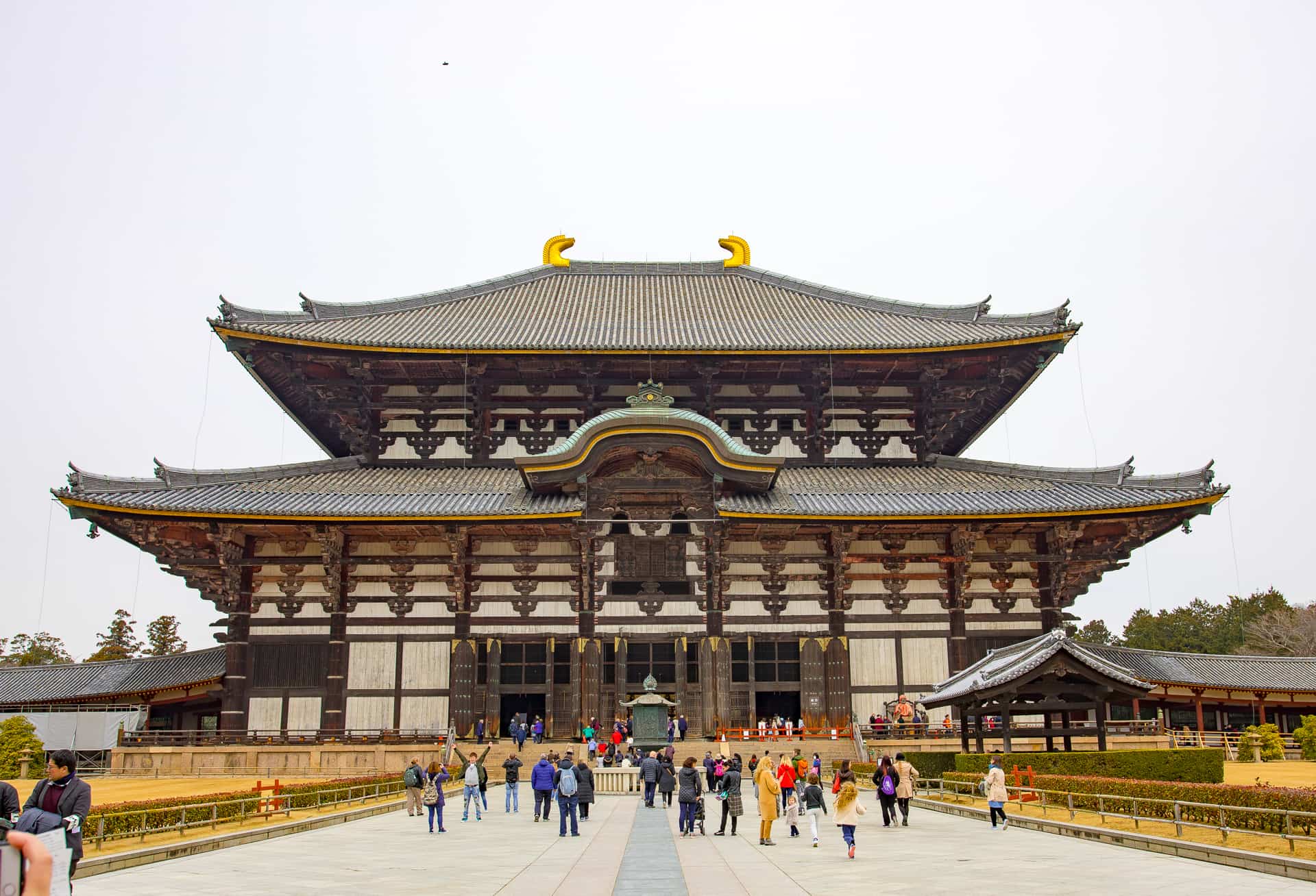 Exploring Nara: Japan’s Ancient Capital