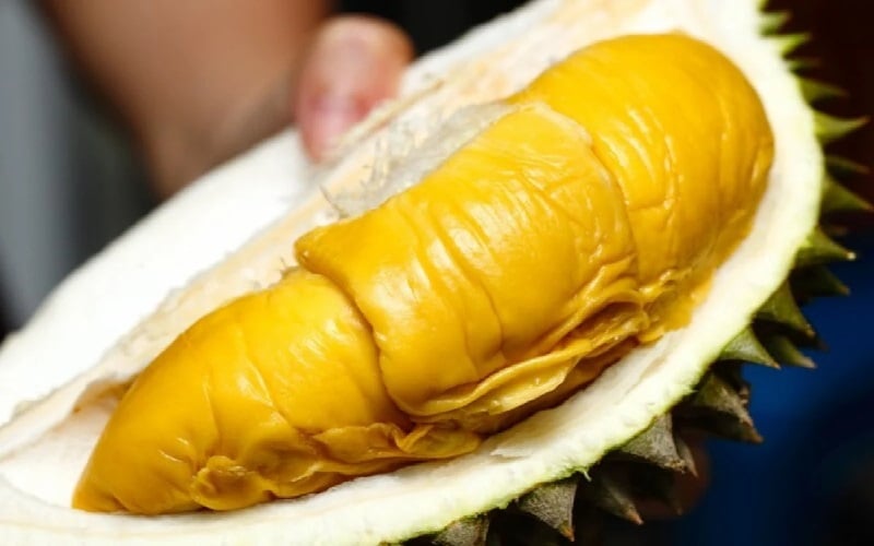 Update Terkini: Buah-Buahan yang Lagi Viral dan Manfaatnya di 2024