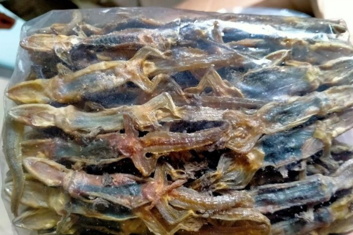 Cicak Kering Asal Padang Tembus Pasar Hong Kong
