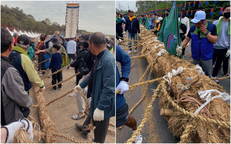 Juldarigi: Tarik Tambang Tradisional Korea yang Penuh Makna